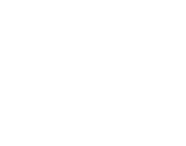 Sécuristes de France – Logo DECAYEUX Sécurité blanc, fabricant de boîtes aux lettres et solutions de sécurité