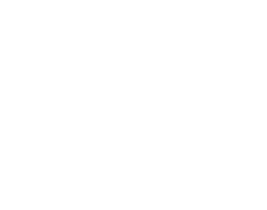Sécuristes de France – Logo DOLMANN blanc, grilles et fermetures de sécurité