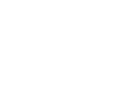 Sécuristes de France – Logo ELIOT blanc, portes et solutions de fermeture