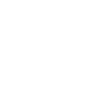 Sécuristes de France – Logo FAAC blanc, spécialiste des automatismes et motorisations