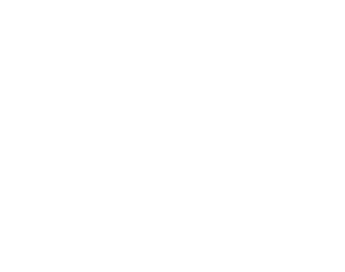 Sécuristes de France – Logo FERPLAY blanc, portails et clôtures aluminium