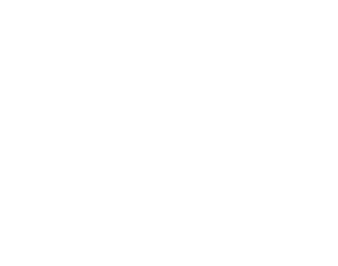 Sécuristes de France – Logo GYPASS blanc, portes de garage et industrielles