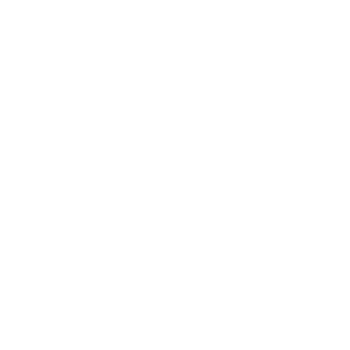 Sécuristes de France – Logo NICE blanc, marque spécialiste des automatismes et motorisations