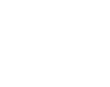 Sécuristes de France – Logo NORALSY blanc, portes techniques et collectives