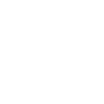 Sécuristes de France – Logo SAFIR blanc, marque partenaire en solutions de fermeture et de sécurité