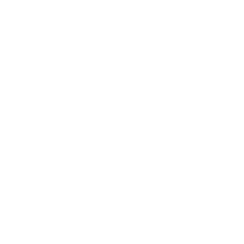 Sécuristes de France – Logo SOMFY blanc, expert en motorisation et domotique