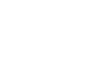 Logo Allée, partenaire en solutions de portails, clôtures et aménagements extérieurs du réseau Sécuristes de France