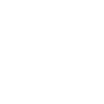 Logo Berner, partenaire en outillage, fixation et consommables professionnels du réseau Sécuristes de France