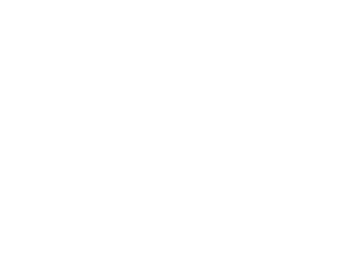 Logo Roche Mariton, partenaire en solutions de stores et protections solaires du réseau Sécuristes de France