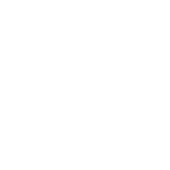 Logo Silvelox blanc, partenaire en solutions de portes de garage et de fermeture du réseau Sécuristes de France